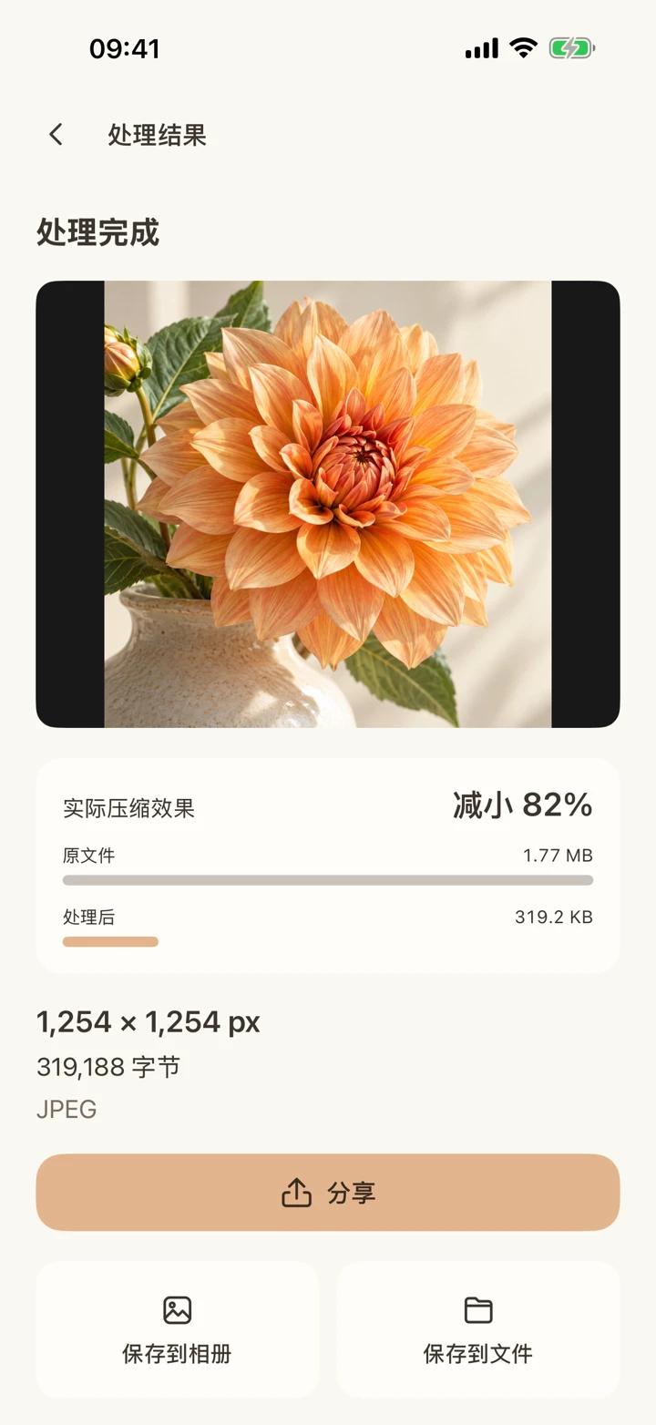 轻装的真实图片处理结果界面